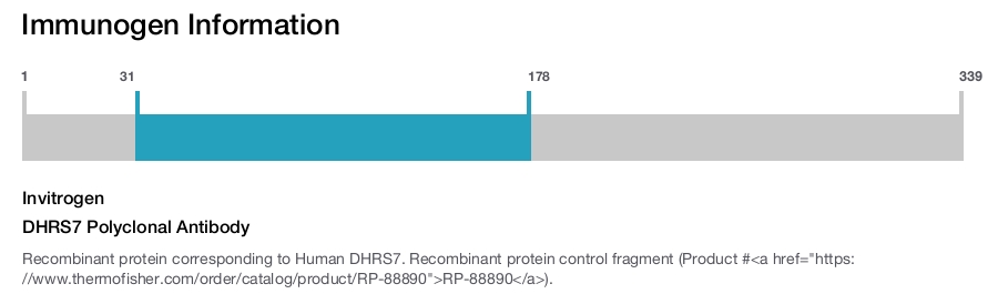 DHRS7 Polyclonal Antibody