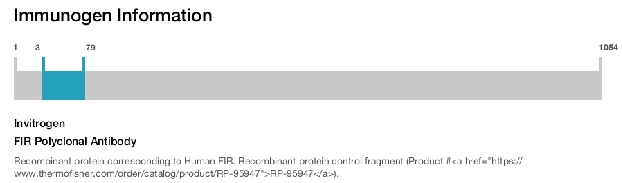 FIR Polyclonal Antibody