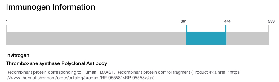 Thromboxane synthase Polyclonal Antibody