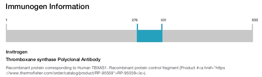 Thromboxane synthase Polyclonal Antibody