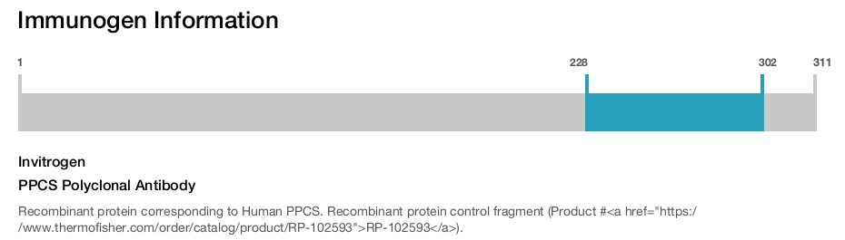 PPCS Polyclonal Antibody