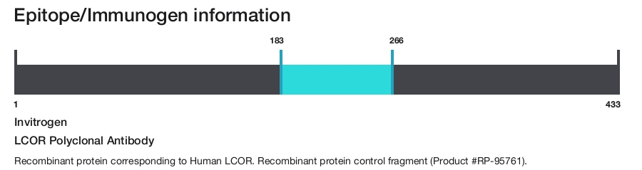LCOR Polyclonal Antibody