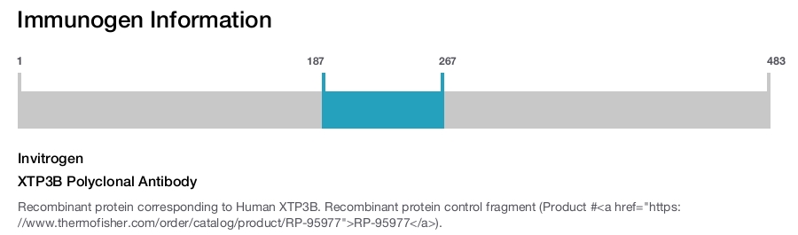XTP3B Polyclonal Antibody