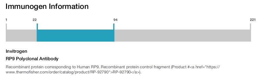 RP9 Polyclonal Antibody