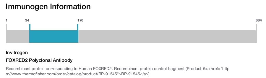 FOXRED2 Polyclonal Antibody