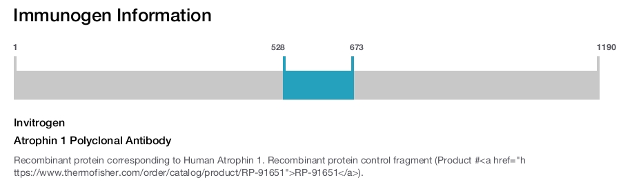 Atrophin 1 Polyclonal Antibody