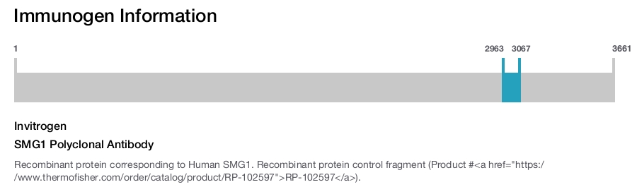 SMG1 Polyclonal Antibody