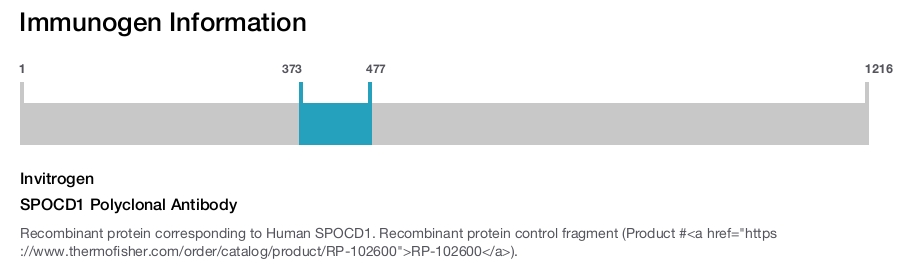 SPOCD1 Polyclonal Antibody