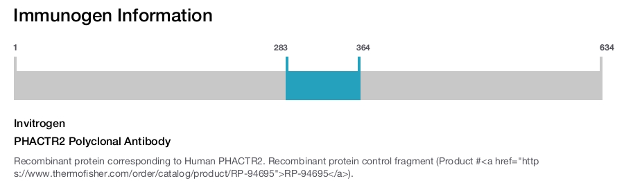 PHACTR2 Polyclonal Antibody