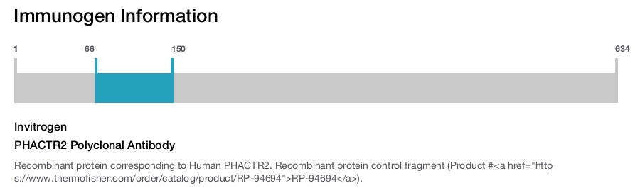 PHACTR2 Polyclonal Antibody