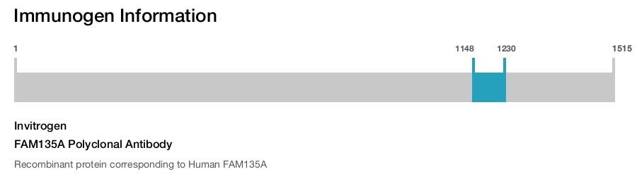 FAM135A Polyclonal Antibody