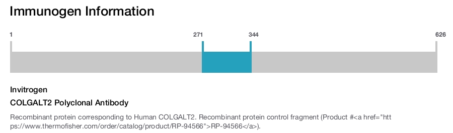 COLGALT2 Polyclonal Antibody