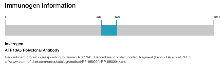 ATP13A5 Polyclonal Antibody