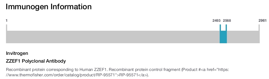 ZZEF1 Polyclonal Antibody