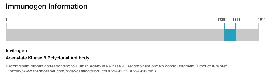 Adenylate Kinase 9 Polyclonal Antibody