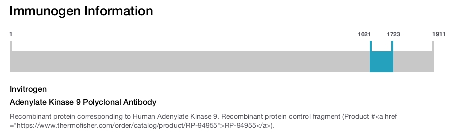 Adenylate Kinase 9 Polyclonal Antibody