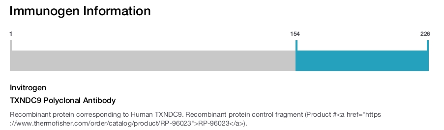TXNDC9 Polyclonal Antibody