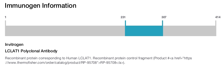 LCLAT1 Polyclonal Antibody