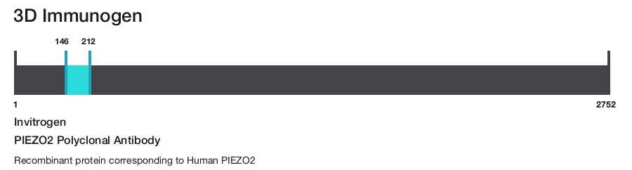 PIEZO2 Polyclonal Antibody