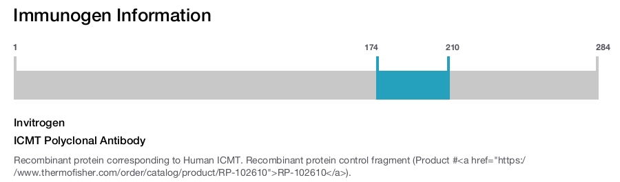 ICMT Polyclonal Antibody