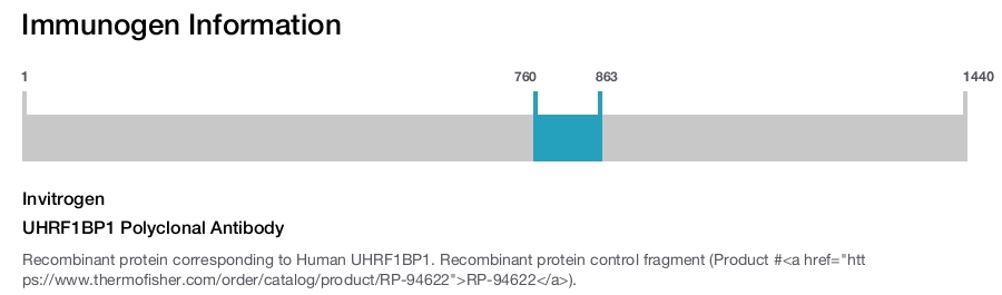 UHRF1BP1 Polyclonal Antibody