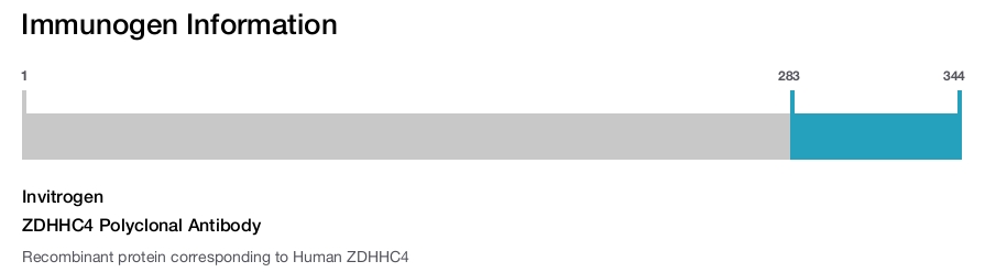 ZDHHC4 Polyclonal Antibody