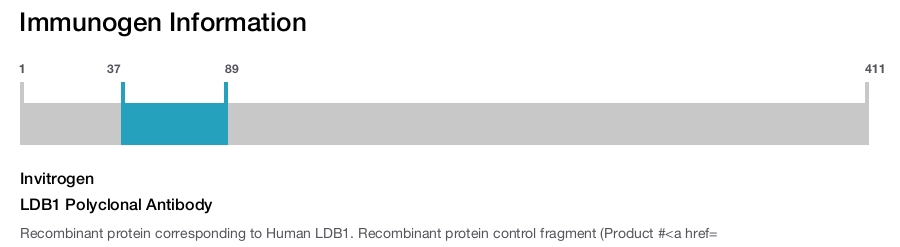 LDB1 Polyclonal Antibody