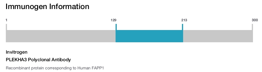 PLEKHA3 Polyclonal Antibody