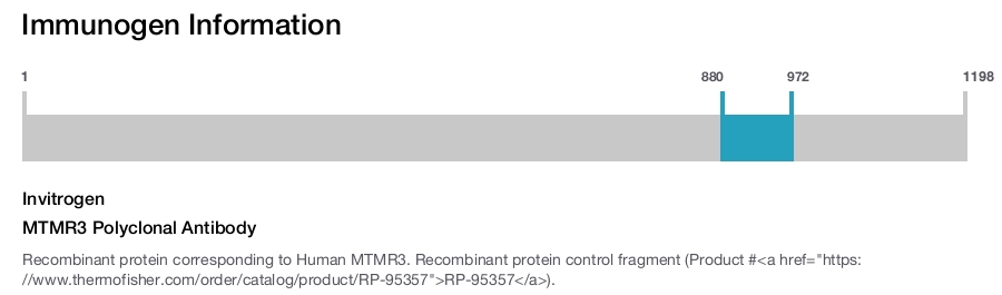 MTMR3 Polyclonal Antibody