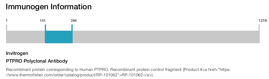 PTPRO Polyclonal Antibody