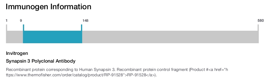 Synapsin 3 Polyclonal Antibody
