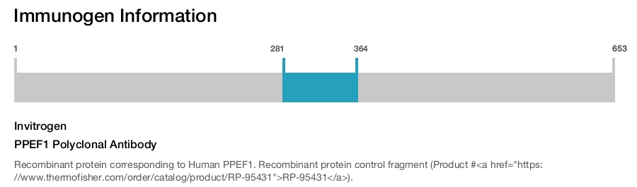 PPEF1 Polyclonal Antibody