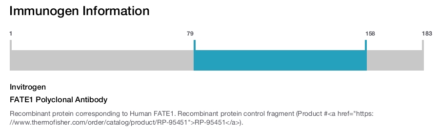 FATE1 Polyclonal Antibody