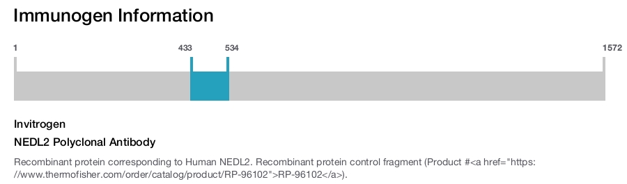 NEDL2 Polyclonal Antibody