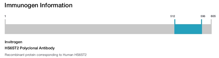 HS6ST2 Polyclonal Antibody