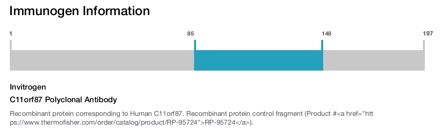 C11orf87 Polyclonal Antibody
