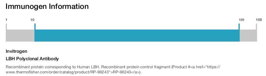 LBH Polyclonal Antibody