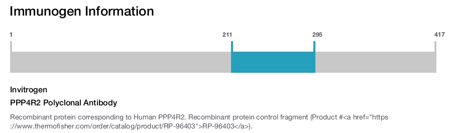 PPP4R2 Polyclonal Antibody