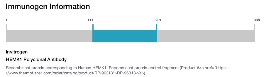 HEMK1 Polyclonal Antibody