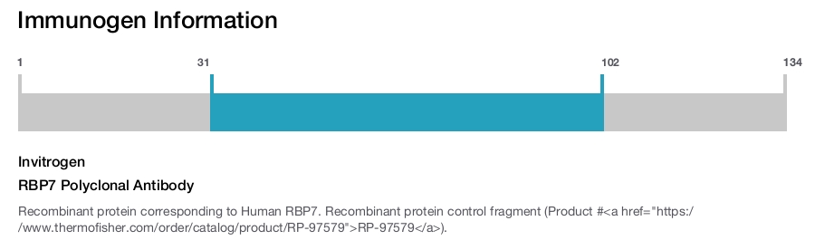 RBP7 Polyclonal Antibody