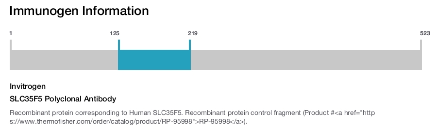 SLC35F5 Polyclonal Antibody