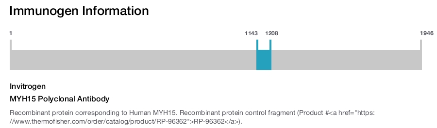 MYH15 Polyclonal Antibody