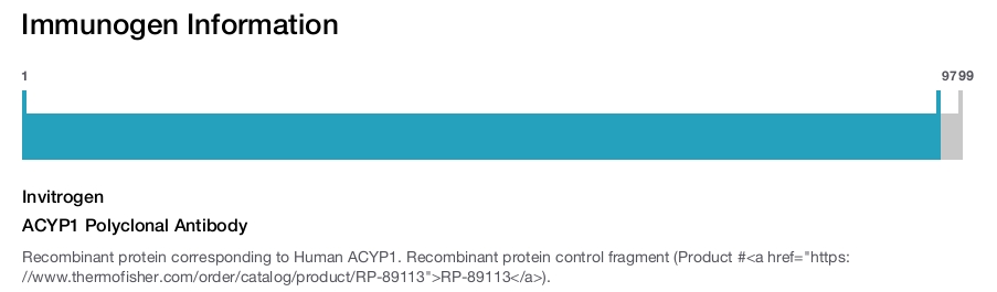 ACYP1 Polyclonal Antibody