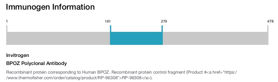 BPOZ Polyclonal Antibody