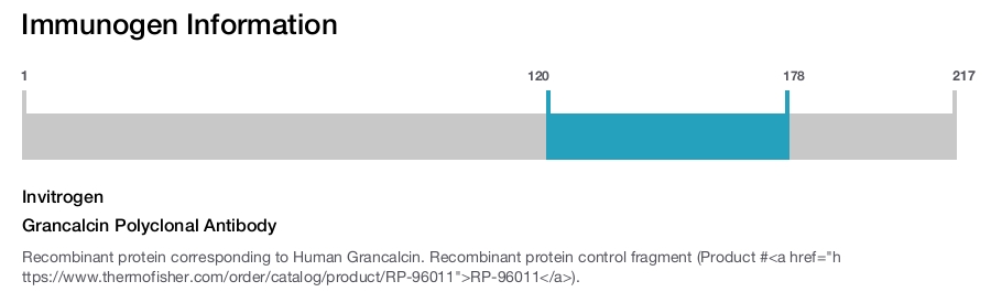 Grancalcin Polyclonal Antibody