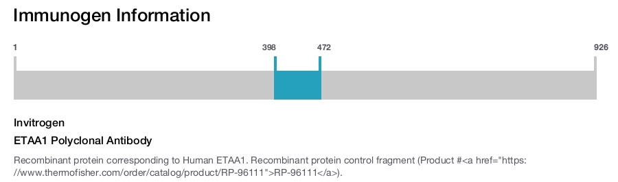 ETAA1 Polyclonal Antibody