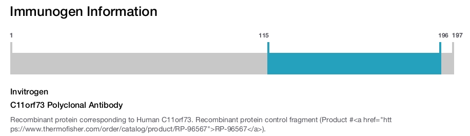 C11orf73 Polyclonal Antibody