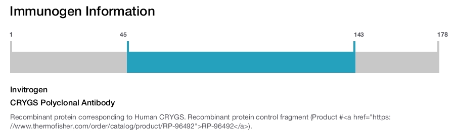 CRYGS Polyclonal Antibody