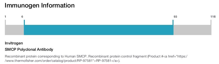 SMCP Polyclonal Antibody