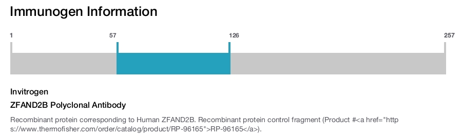 ZFAND2B Polyclonal Antibody